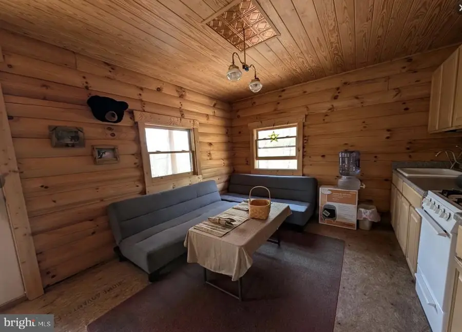 422 Cabin Hollow Ln, Brandywine, WV 26802 - #3