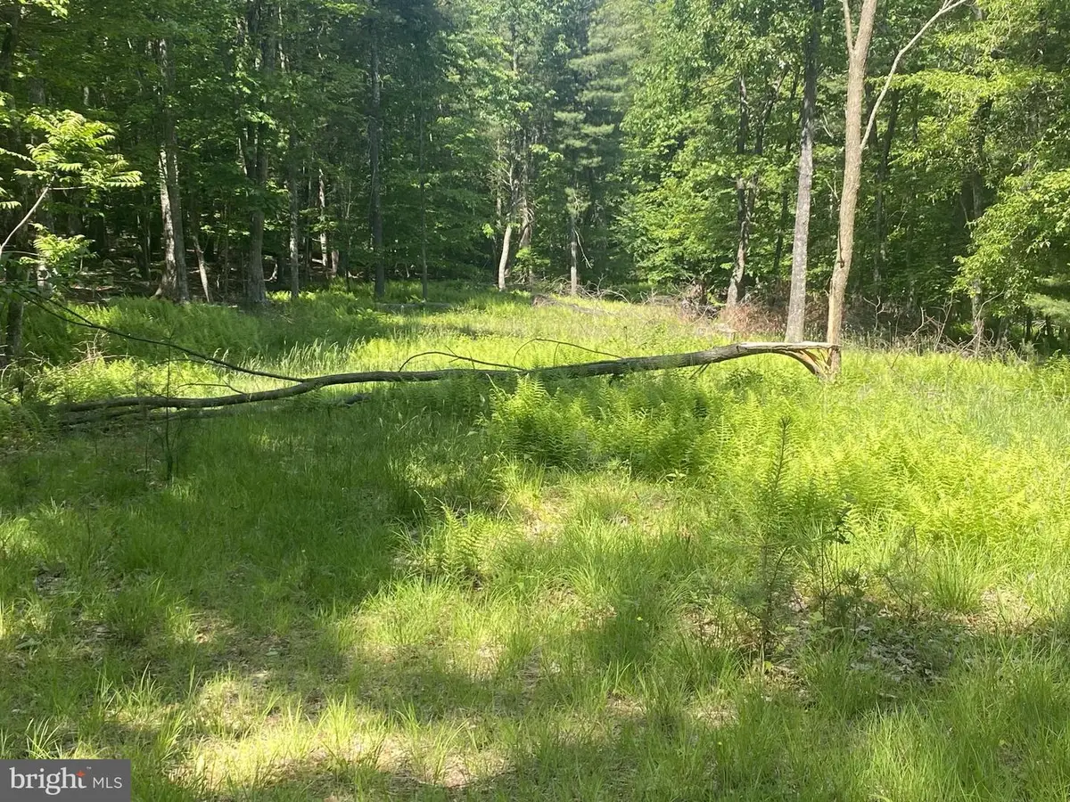 Rt 23, Dry Run Rd, Franklin, WV 26807 - #1