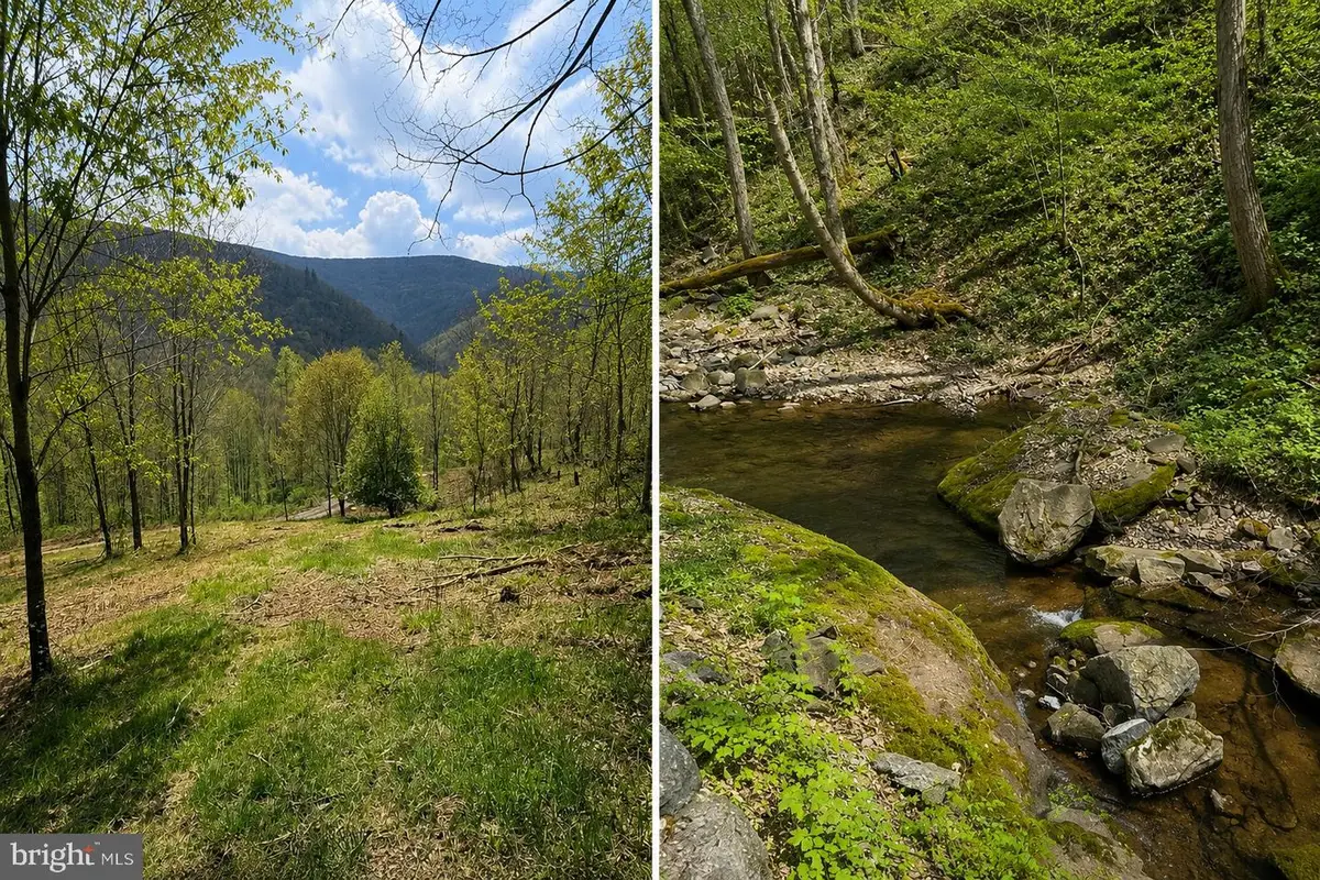 Tract A-30.82 Acs Straders Run Rd, Seneca Rocks, WV 26884 - #1