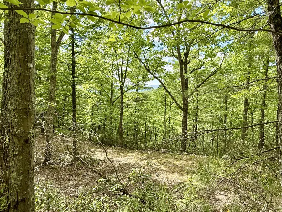 Deer Crossing Trl, Franklin, WV 26807 - #2
