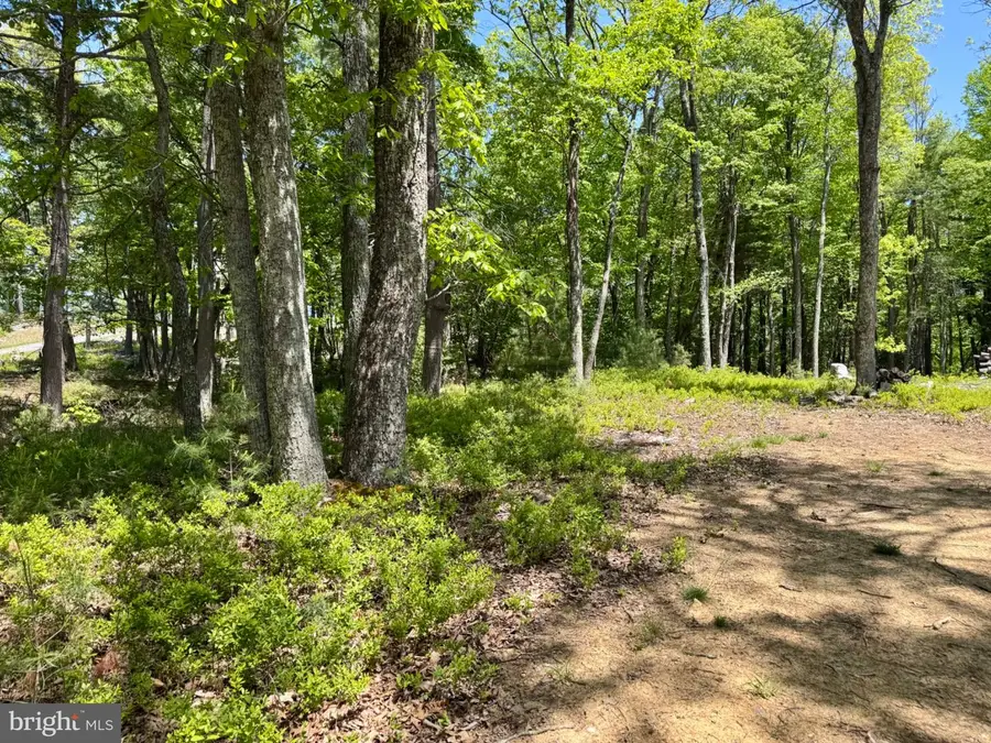 Hr10 Golf Club Dr, Franklin, WV 26807 - #2