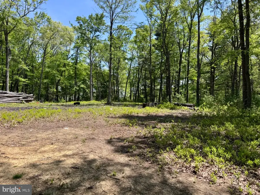 Hr10 Golf Club Dr, Franklin, WV 26807 - #3