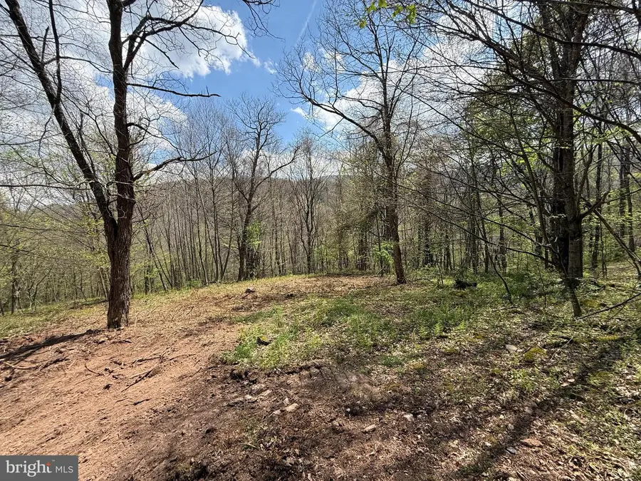 Tract 1 & 2-56.7 Acs Straders Run Rd, Seneca Rocks, WV 26884 - #2