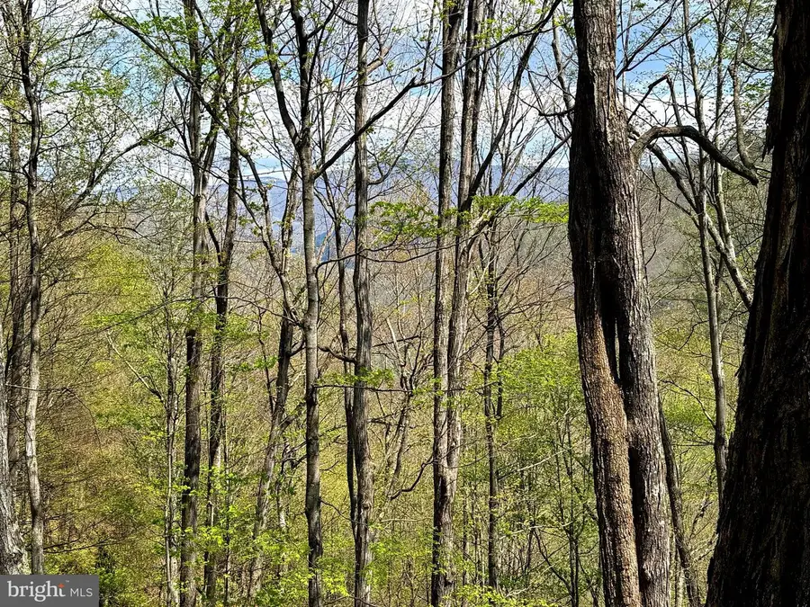 Tract 1 & 2-56.7 Acs Straders Run Rd, Seneca Rocks, WV 26884 - #3
