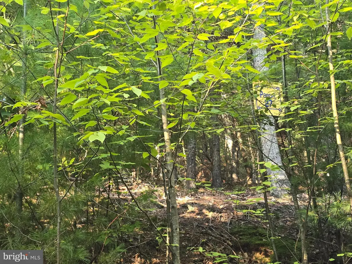 Lot 27 Native Trout Ln, Sugar Grove, WV 26815 - #1