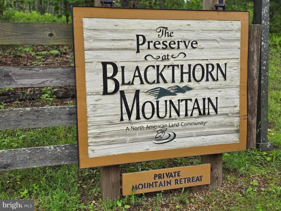 Lot 27 Native Trout Ln, Sugar Grove, WV 26815 - #2