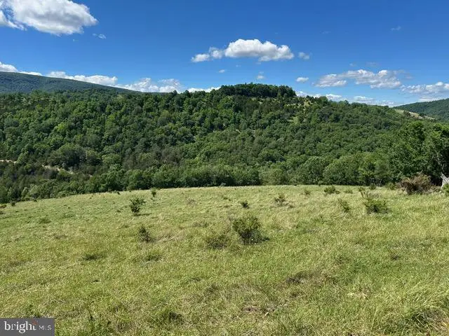 1096 Strauter Rd, Franklin, WV 26807 - #1