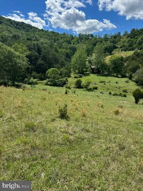 1096 Strauter Rd, Franklin, WV 26807 - #2