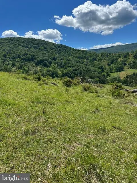 1096 Strauter Rd, Franklin, WV 26807 - #3