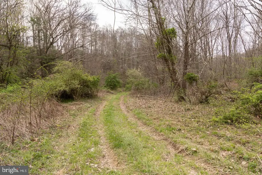 0 Pine Branch Rd, Glen Daniel, WV 25844 - #2