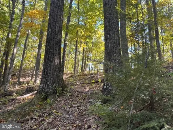 Channell Rd, MILL CREEK, WV 26280