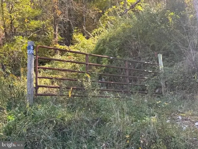 Channell Rd, Mill Creek, WV 26280 - #2