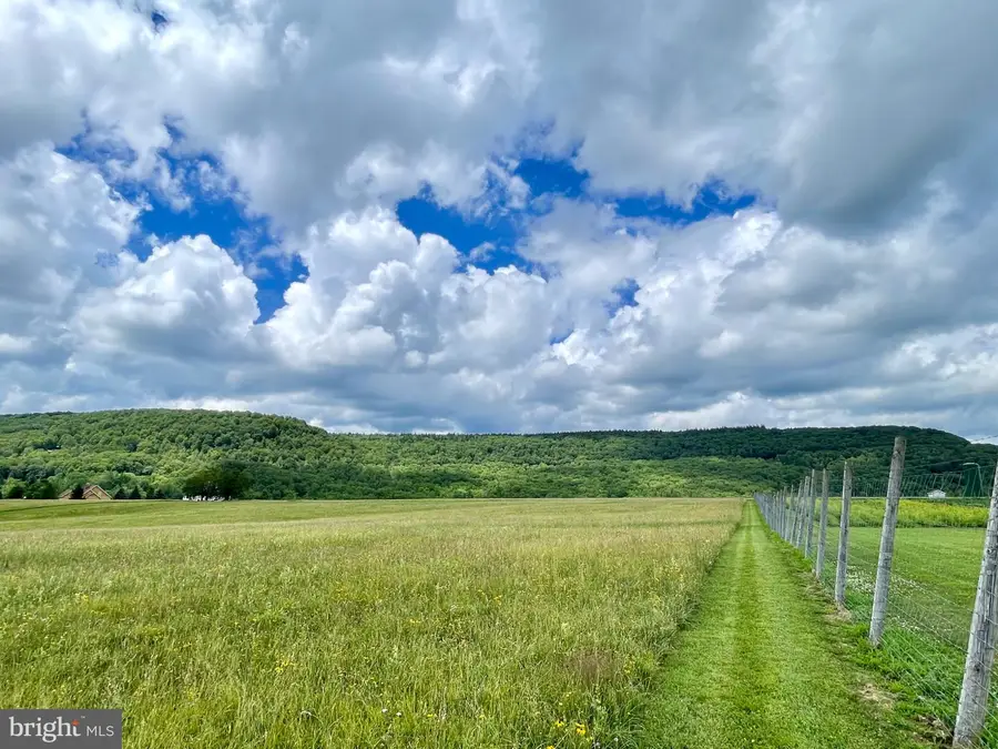 000 Mallow Lake Dr, Davis, WV 26260 - #3