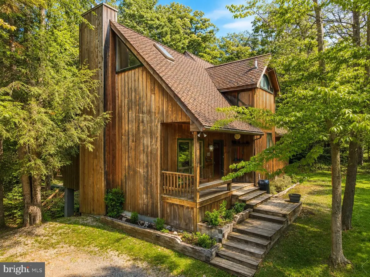 195 Brookside Rd, Davis, WV 26260 - #1