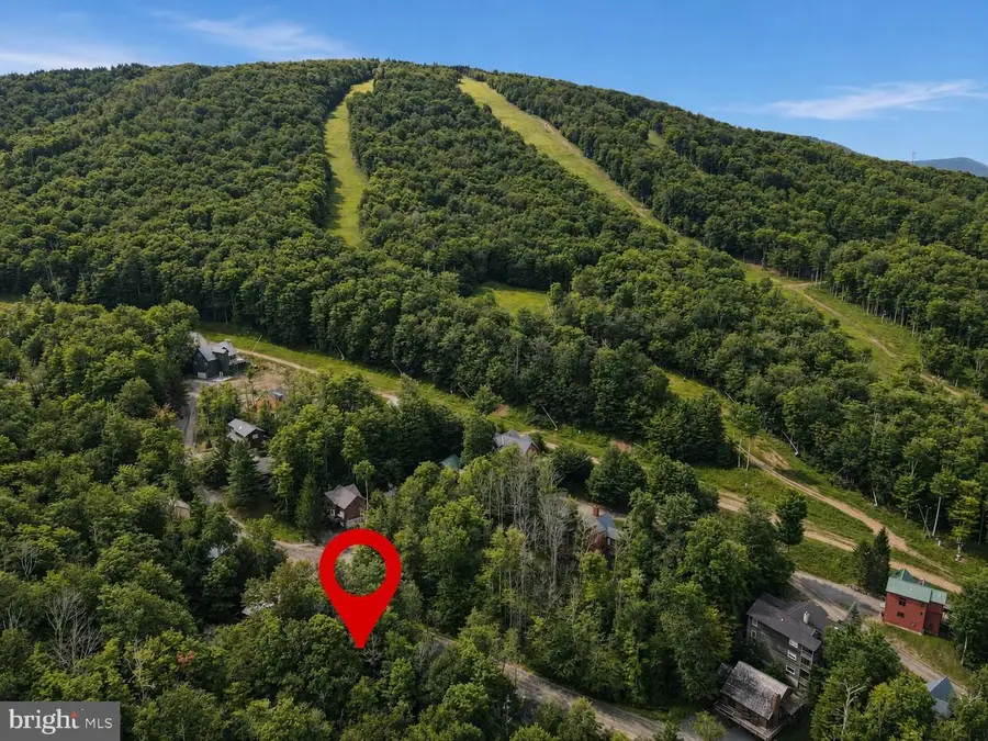 195 Brookside Rd, Davis, WV 26260 - #3