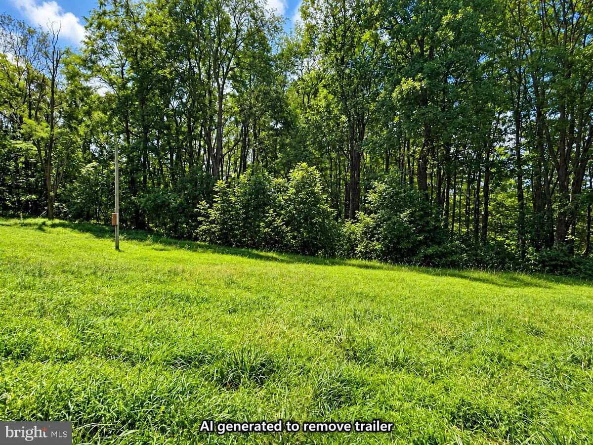 270 Retriever Rd, Parsons, WV 26287 - #1