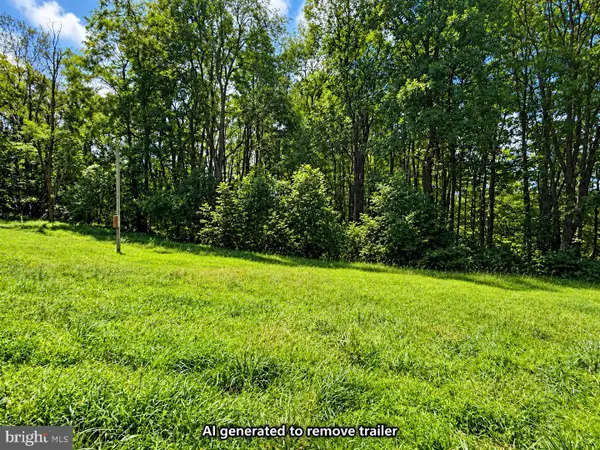 270 Retriever Rd, PARSONS, WV 26287