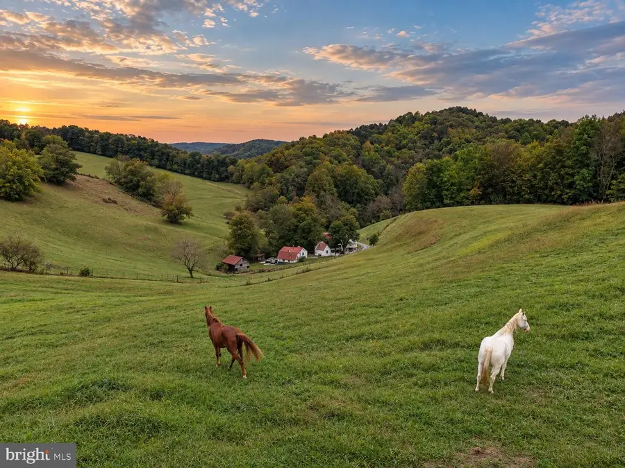 623 Hackers Creek Rd, Buckhannon, WV 26201 - #3