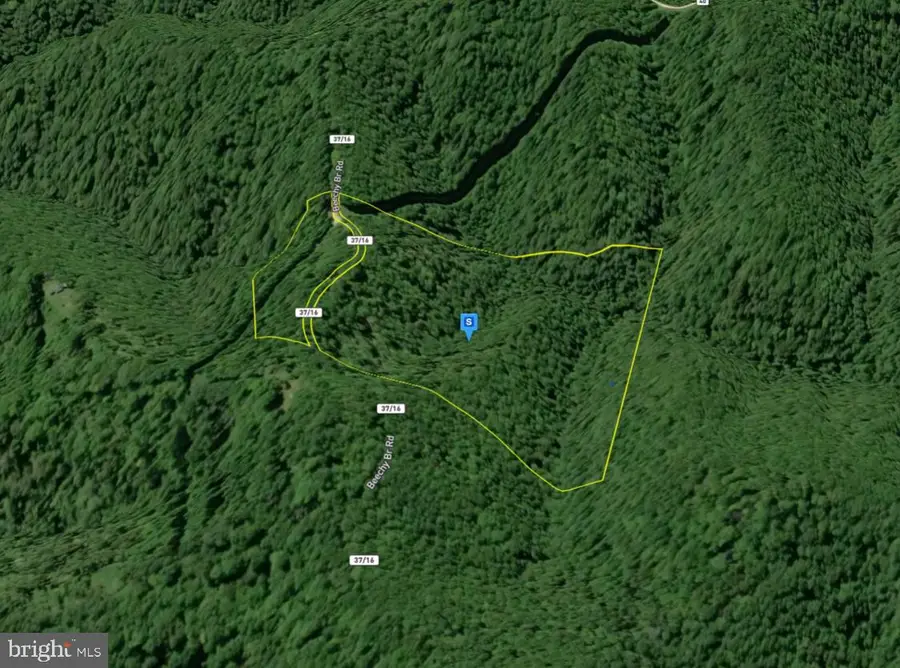 111 Beechy Br Rd, Dunlow, WV 25511 - #2