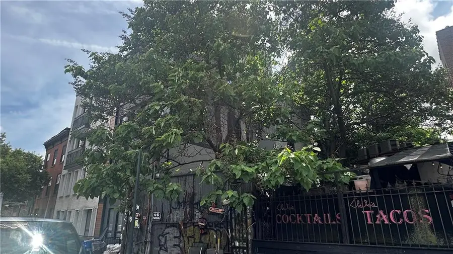 196 Clifton Place, Brooklyn, NY 11216 - Image #3