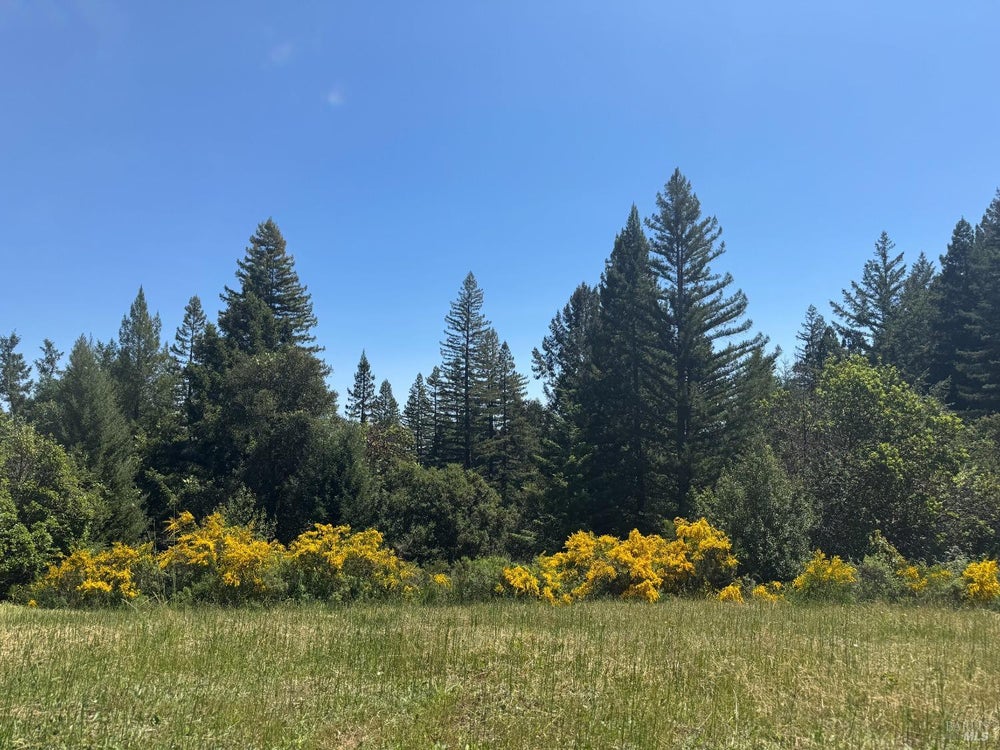 4579 Mill Creek Road, Healdsburg, CA 95448 BHGRE