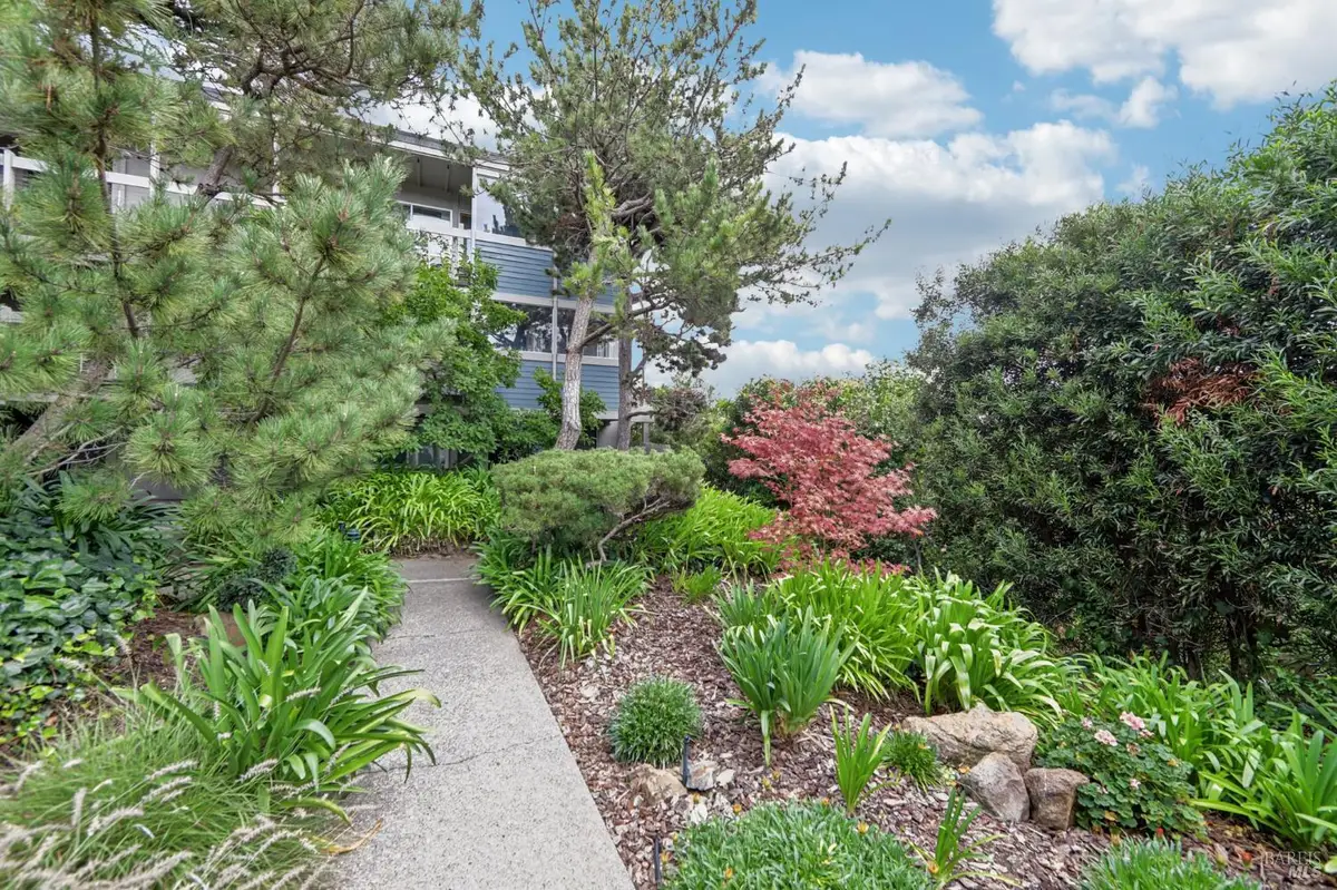 290 Via Casitas #206, Greenbrae, CA 94904 - Image #1