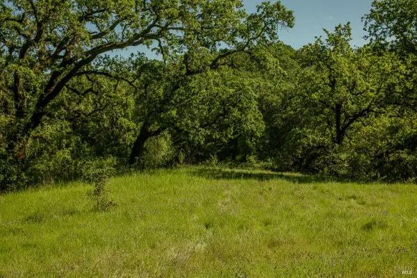 0 Arnold Drive, Sonoma, CA 95476