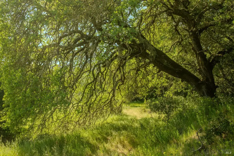 0 Arnold Drive, Sonoma, CA 95476 - #3