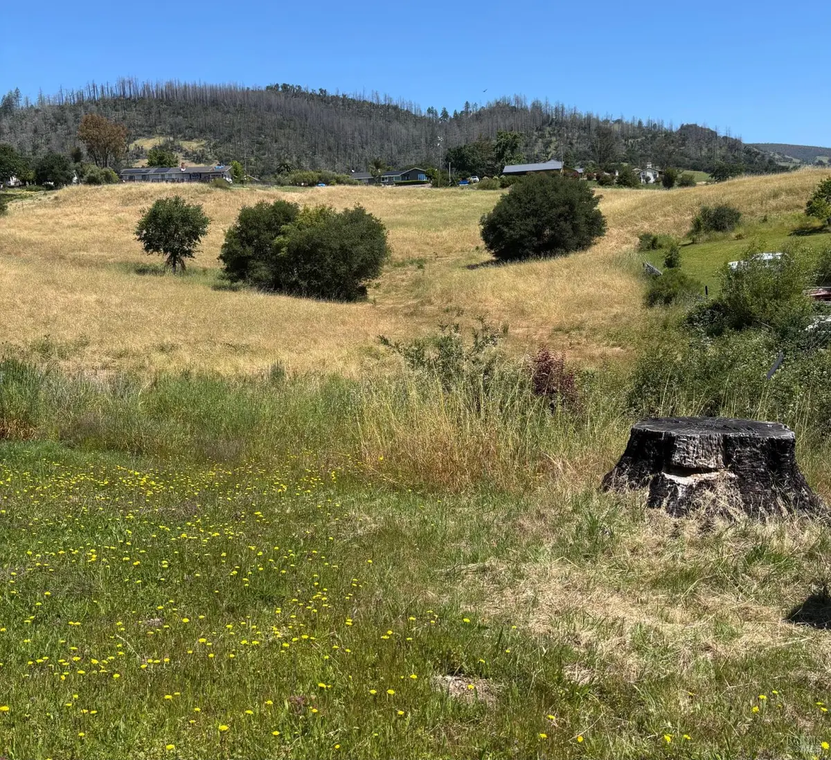 856 Los Alamos Road, Santa Rosa, CA 95409 - #1
