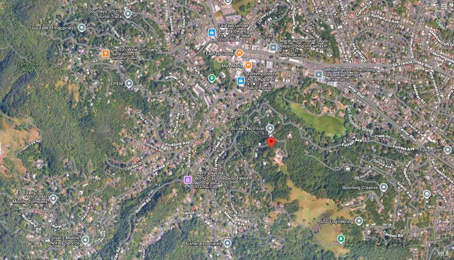 202 Hillside Drive, Fairfax, CA 94930 - #3
