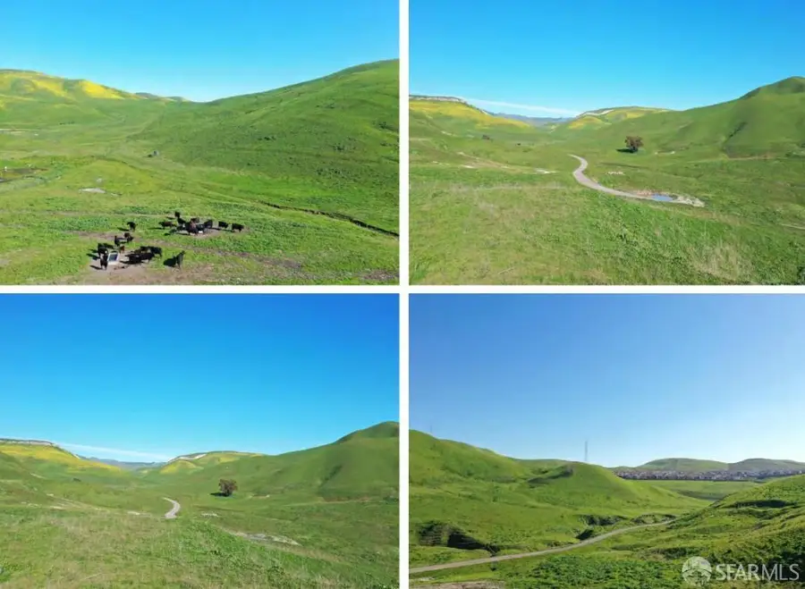 6401 Camino Tassajara, San Ramon, CA 94583 - Image #3