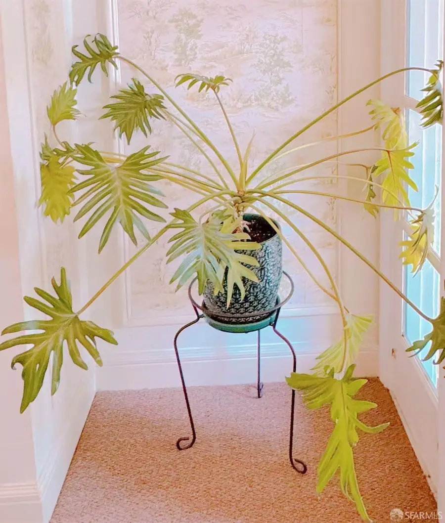 11 Wood Street, San Francisco, CA 94118 - Image #2