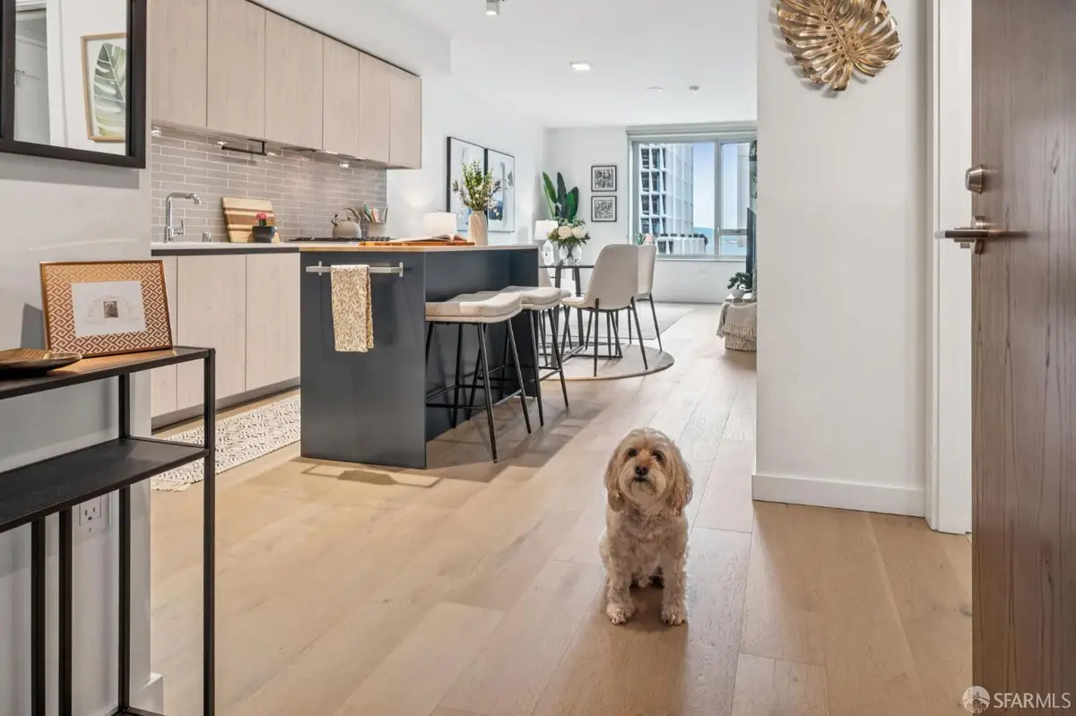 1000 3rd Street #720, San Francisco, CA 94158 - #1