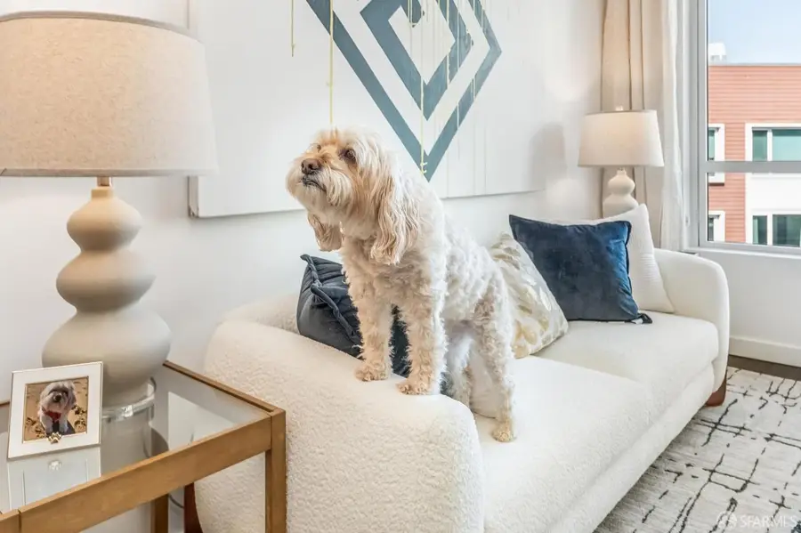 110 Channel Street #628, San Francisco, CA 94158 - #3