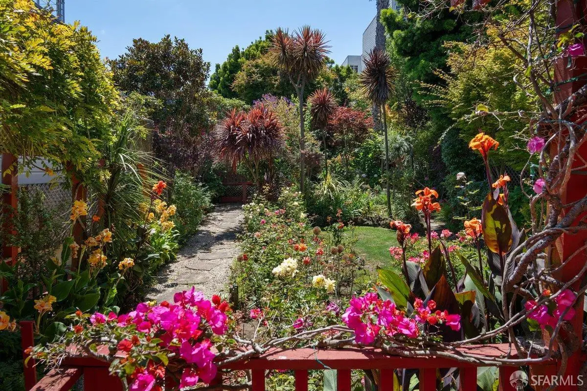 2441 Filbert Street, San Francisco, CA 94123 - #1