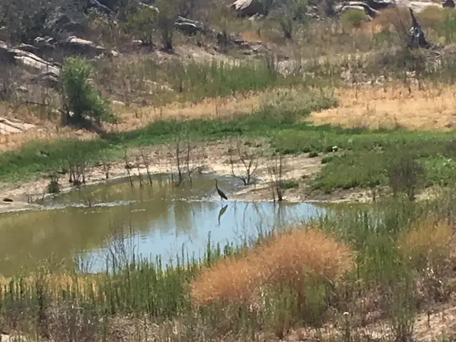 1388 Harris Ranch Rd, Potrero, CA 91963 - Image #2