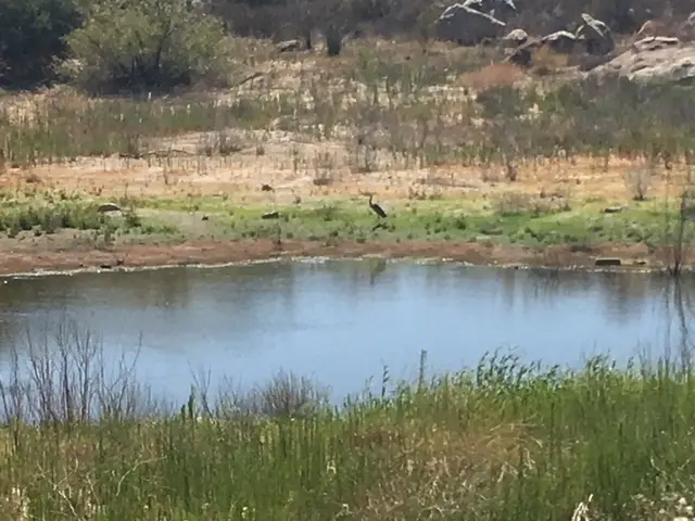 1388 Harris Ranch Rd, Potrero, CA 91963 - Image #3