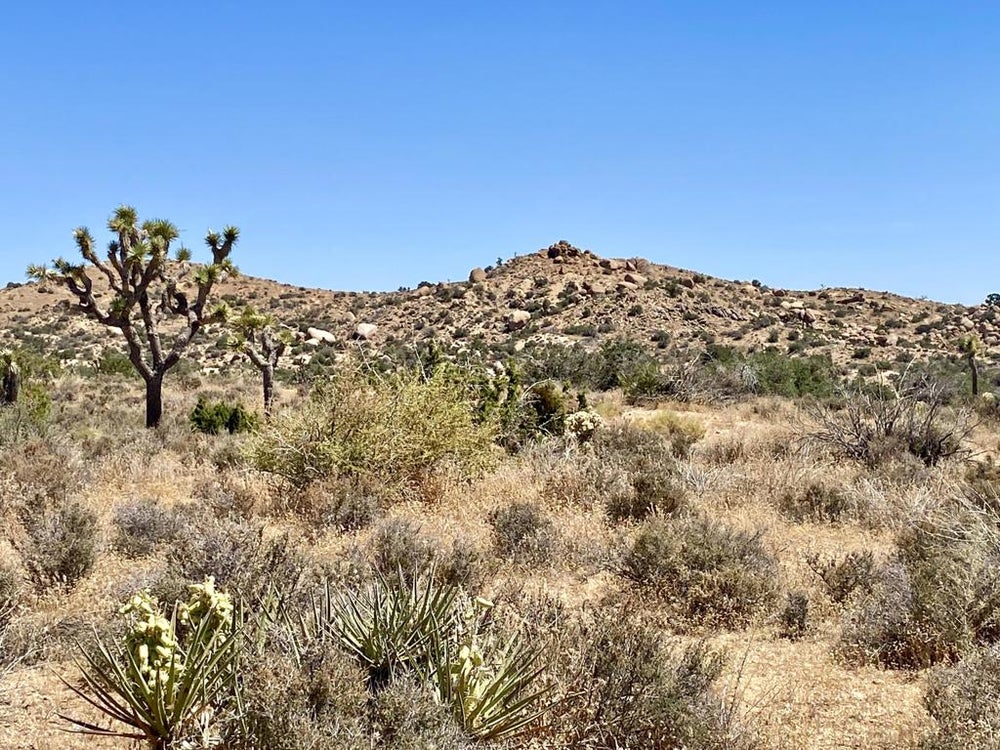 2554 Apache Pass, Pioneertown, CA 92268 BHGRE