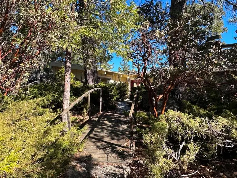 25630 Sunrise Drive, Idyllwild, CA 92549 - Image #3