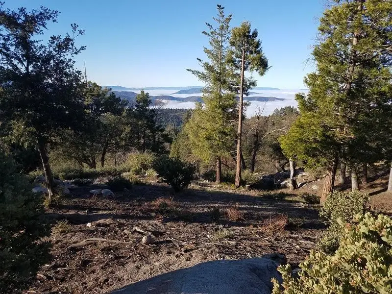 0 Gibbs-gully, Idyllwild, CA 92549 - #2