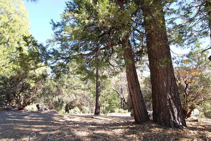 0 Gibbs-gully, Idyllwild, CA 92549 - #3