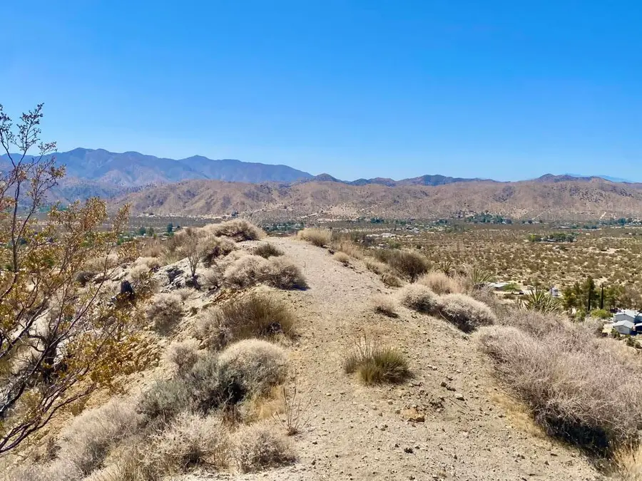 51170 Panorama Drive, Morongo Valley, CA 92256 - Image #2