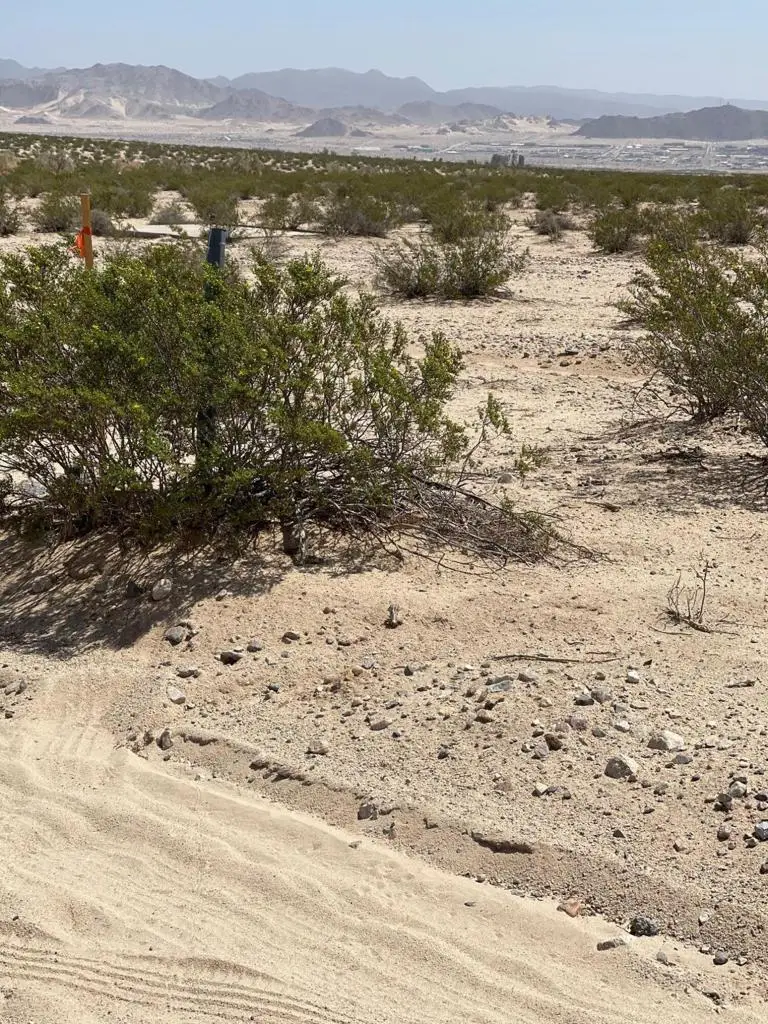 Canyon Road, Twentynine Palms, CA 92277 - #3