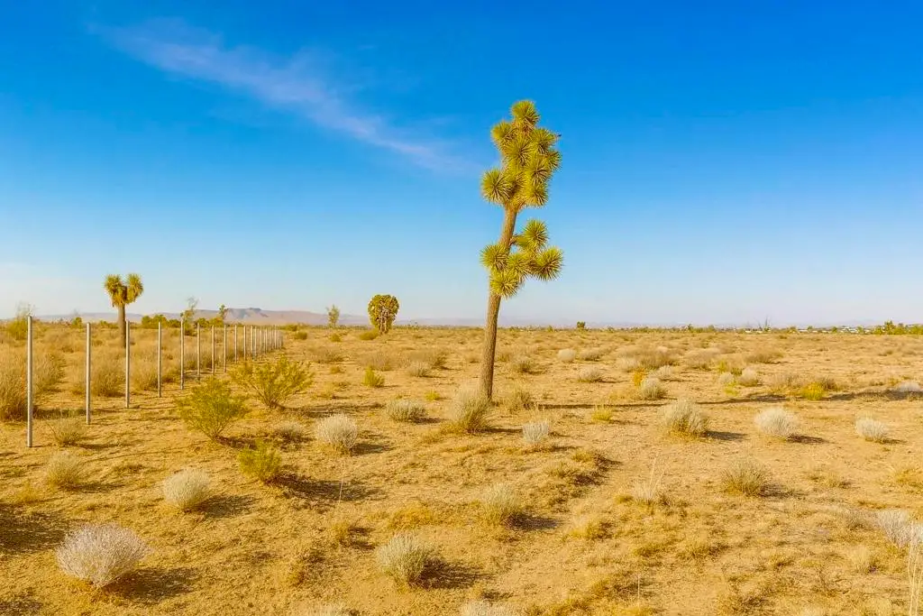 6982 South Street, Phelan, CA 92371 - #1