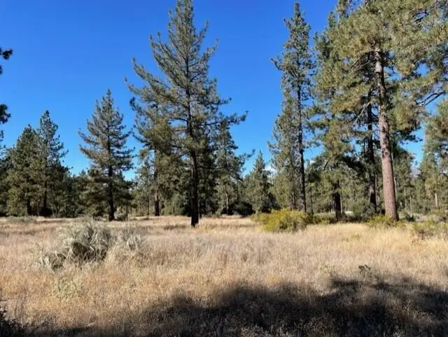 Lot 18 Pyramid Peak Road, Mountain Center, CA 92561 - #1