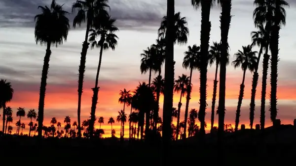 110 Conejo Circle, Palm Desert, CA 92260