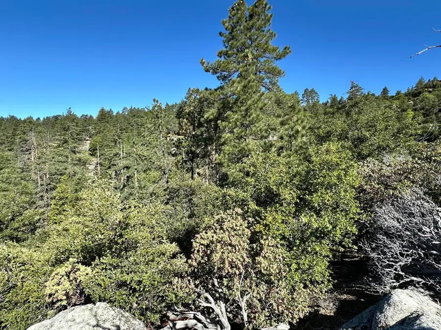 0 Mountain View, Idyllwild, CA 92549 - Image #3