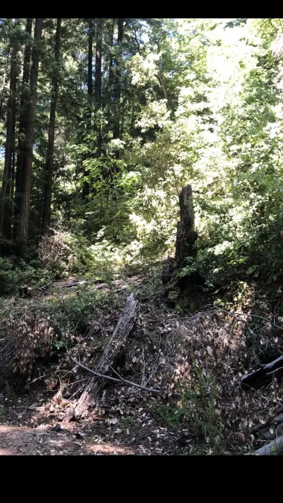 0 Visitar Street, Scotts Valley, CA 95066 - #2