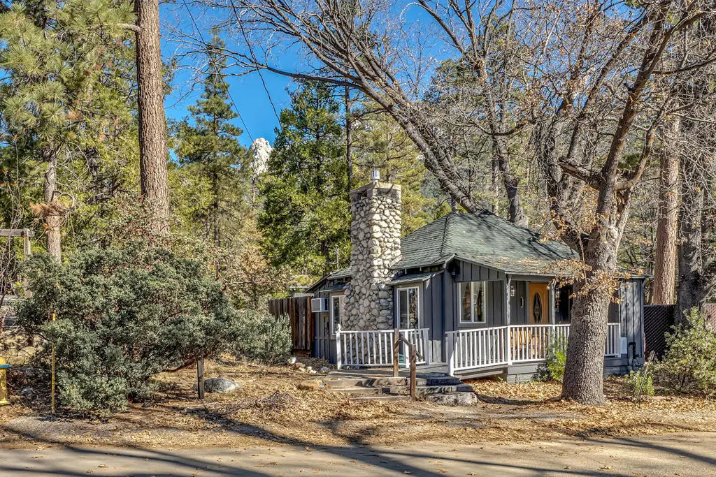 25740 Fir Street, Idyllwild, CA 92549 - #1