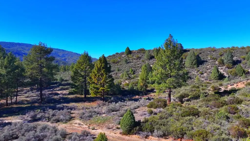 1 Butterfly Peak Road, Mountain Center, CA 92561 - #1